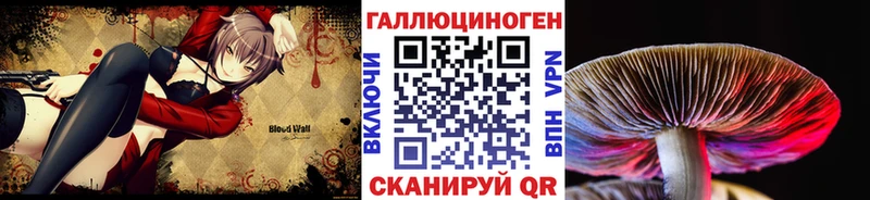 Псилоцибиновые грибы мицелий  Гатчина 